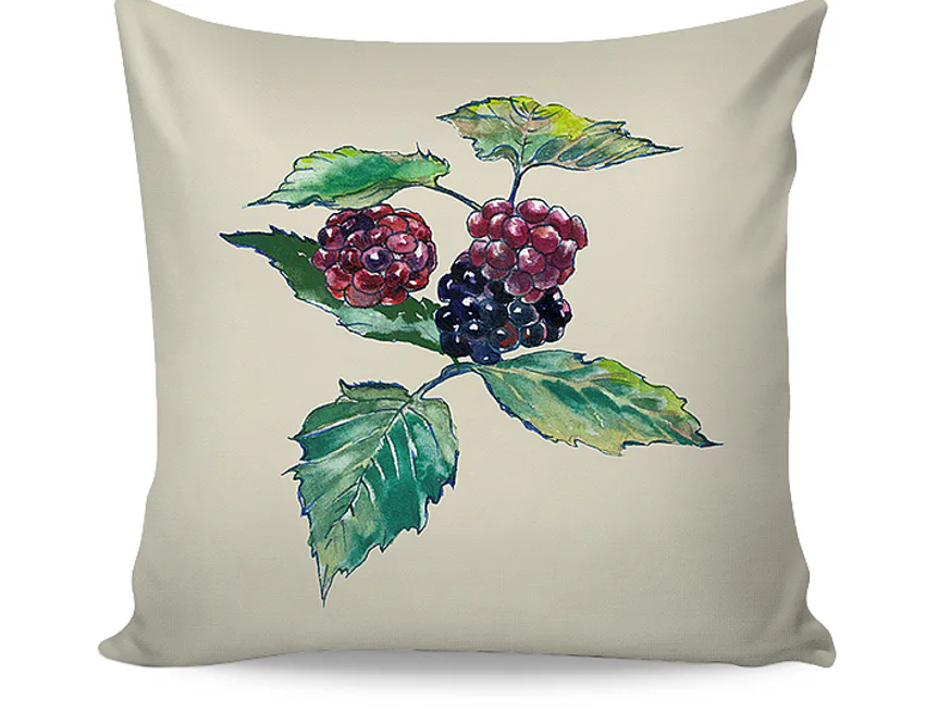 Povlak Berinky